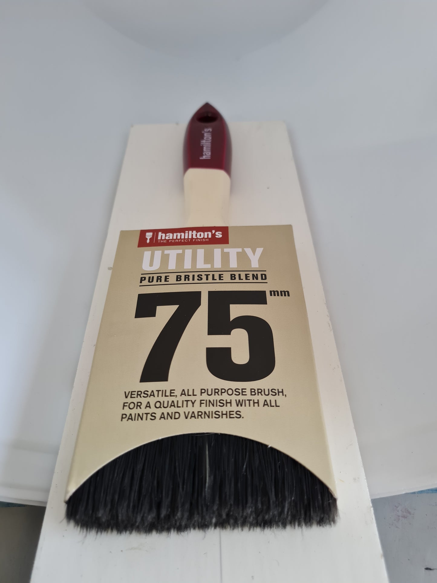 Hamilton Brushes